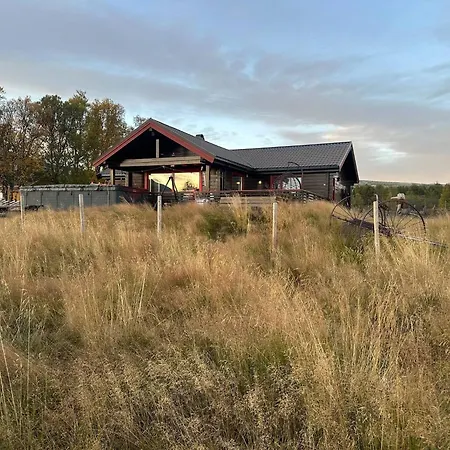 In Beautiful Rondane With Pool And Sauna * Dovreskogen