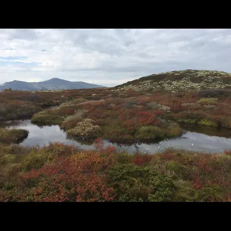 Prázdninový dům In Beautiful Rondane With Pool And Sauna Dovreskogen