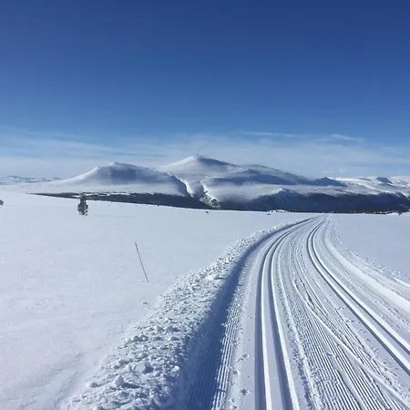 In Beautiful Rondane With Pool And Sauna Prázdninový dům