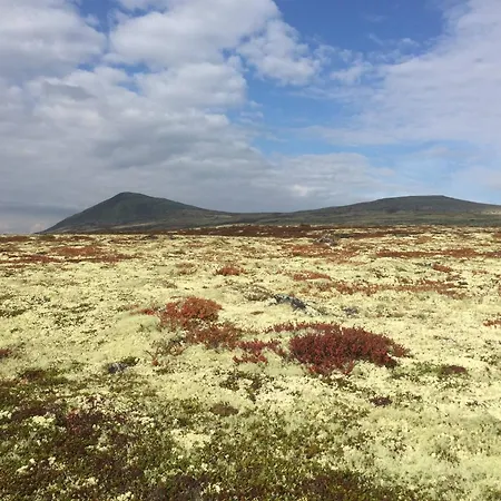 In Beautiful Rondane With Pool And Sauna Prázdninový dům Dovreskogen
