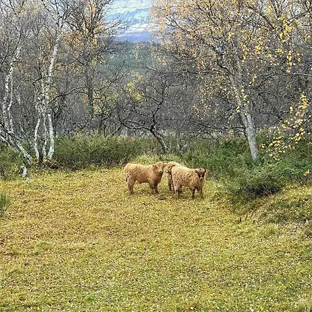 In Beautiful Rondane With Pool And Sauna Prázdninový dům