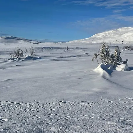 Prázdninový dům In Beautiful Rondane With Pool And Sauna *